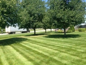 Krintz Lawn Care | Battle Ground, IN