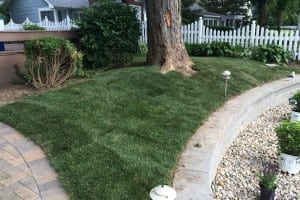Krintz Lawn Care | Battle Ground, IN