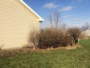 Krintz Lawn Care | Battle Ground, IN