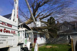 Krintz Lawn Care | Battle Ground, IN