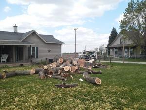 Krintz Lawn Care | Battle Ground, IN