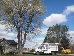 Krintz Lawn Care | Battle Ground, IN