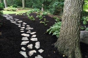 Krintz Lawn Care | Battle Ground, IN
