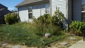 Krintz Lawn Care | Battle Ground, IN