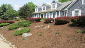 Krintz Lawn Care | Battle Ground, IN