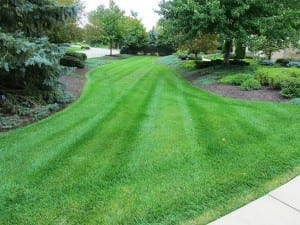 Krintz Lawn Care | Battle Ground, IN