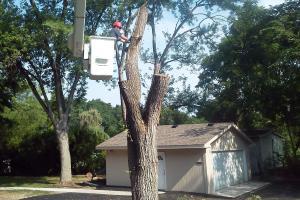 Krintz Lawn Care | Battle Ground, IN